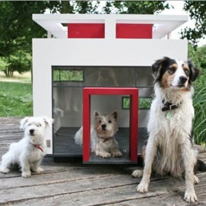 cubix casa perro
