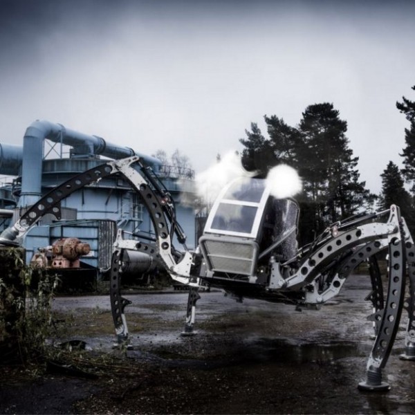 mantis