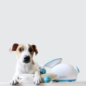 lanzapelotas automático perro