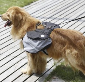 alforja_perros_mochila