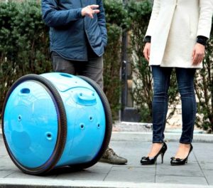 gita_piaggio_robot