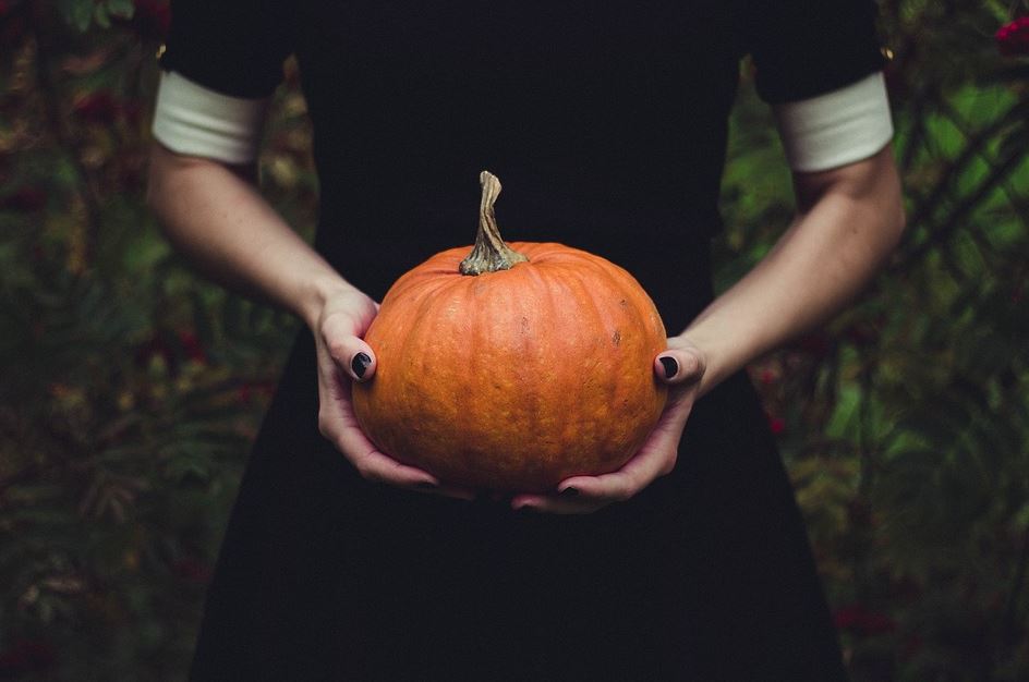 halloween calabaza pumpkin