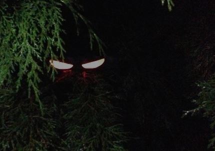 halloween ojos oscuridad decoración
